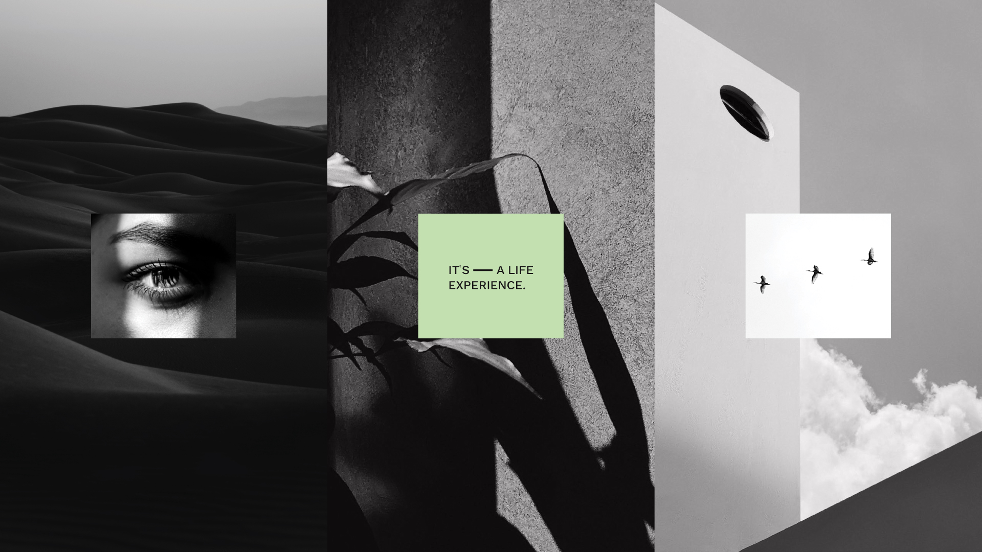 Mainlands | Brand Identity