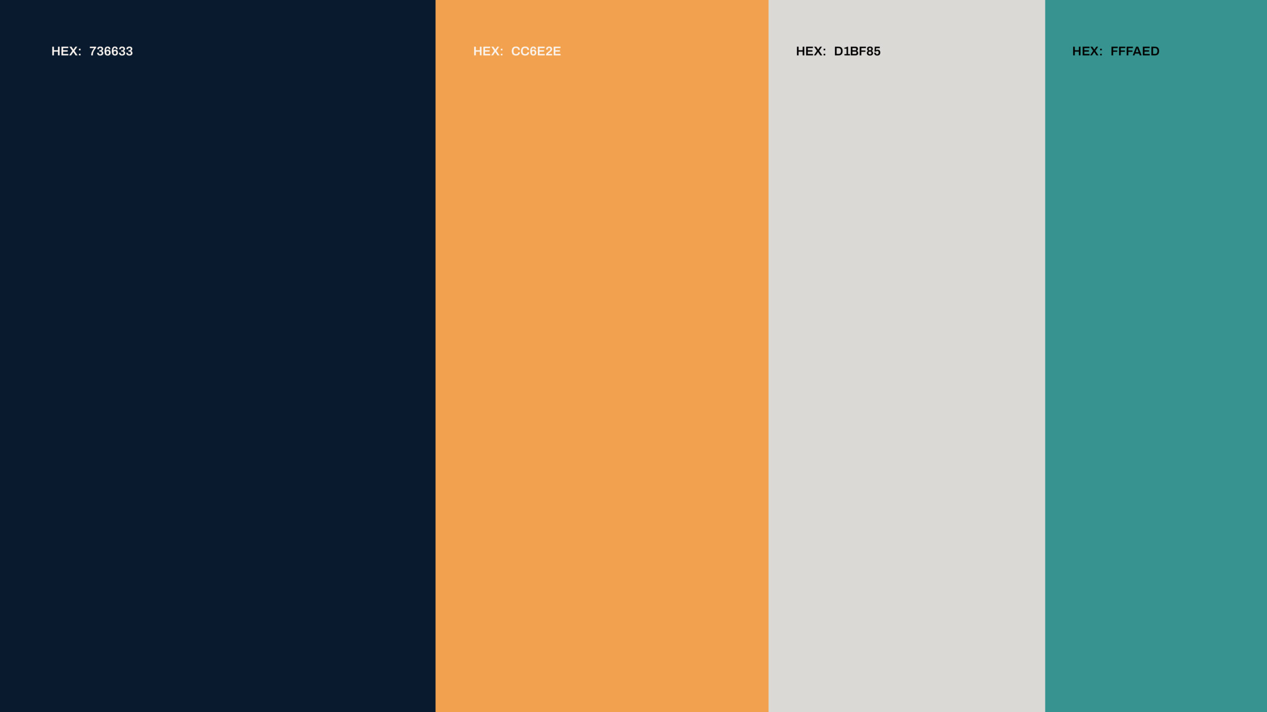 Twenty Plus | Brand Identity
